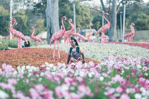 BIB: 
                            <button type="button" onclick="openModal(27344074)" class="btn btn-primary btn-sm float-right btn-popup" data-toggle="modal" data-target=".modal-high-quality">
                        <i class="fas fa-shopping-cart"></i> Add to Cart
                    </button>
                                            <button type="button" onclick="isThisMe(27344074, true)" class="btn btn-success btn-sm float-right btn-popup btn-isme hidden" data-toggle="tooltip" data-placement="bottom" title="นี่คือรูปของคุณใช่ไหม คลิกที่นี่เพื่อเอาเข้าอัลบั้ม">
                        <i class="fas fa-plus"></i> Add to album
                    </button>
                    <button type="button" onclick="isThisMe(27344074, false)" class="btn btn-warning btn-sm float-right btn-popup btn-isnotme hidden">
                        <i class="fas fa-ban"></i> Remove from album
                    </button>